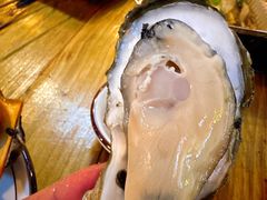 -土蚝·高压锅生蚝(百姓美食街店)