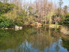 -上海滨江森林公园