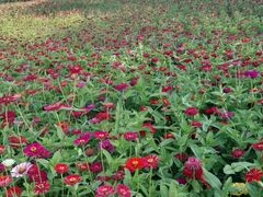 -长春世界雕塑园冰雪艺术天地