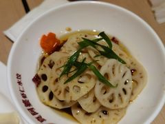 炝莲菜-真阿婆水饺(科技路西口店)