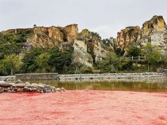 -彩色沙林风景区