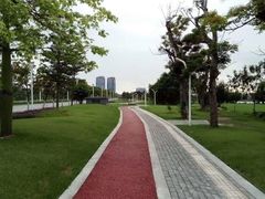 -芒洲湿地公园