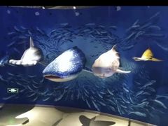 -烟台海昌鲸鲨海洋公园