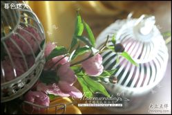 美雯苏宁卢浮宫-苏宁环球套房饭店·宴会厅