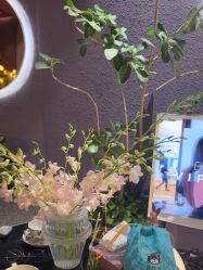 -花隐·美芙炫海菲秀皮肤管理中心