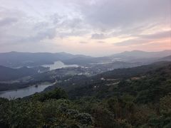 -大姆山草场
