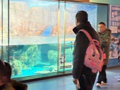 -海合安武汉极地海洋公园