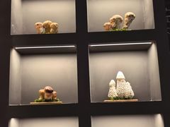 -一朵菌·野生菌探索家火锅(南亚店)