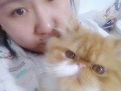 -宠爱国际动物医院· 猫科· 外科·中兽医(长白店)