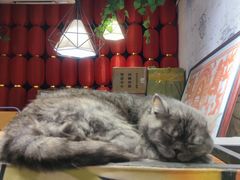-元氏钵仔糕(北京路店)