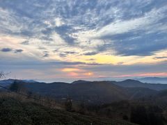 -东白山