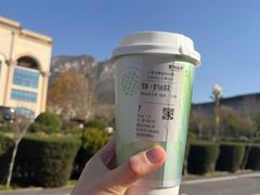 -雾与山茶(大禹城店)