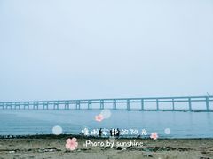 -黑石礁公园