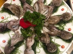 -一斗火锅·招财羊毛肚(泰吉滨江店)