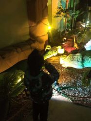 -恐龙探索乐园(磁器口店)