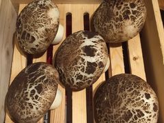 mo gu bao-桂小厨广西菜(水晶城店)