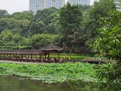 -龙头寺公园