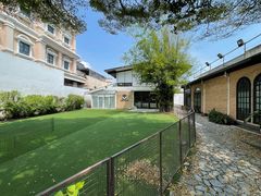 -Dog in Town Ekkamai