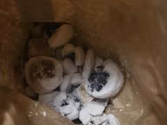 -北京稻香村(田村店)