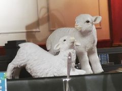 -快乐小羊·内蒙牛羊肉火锅(流花中心店)