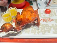 -大鸽饭(动物园店)