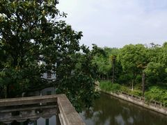 android_upload_pic-朱家角课植园