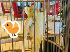 -怡咖啡·自助餐·西安香格里拉