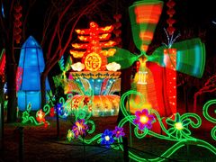 -南宫五洲植物乐园