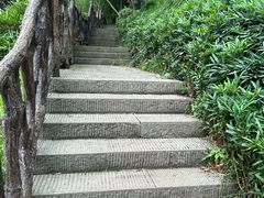 -重庆园博园
