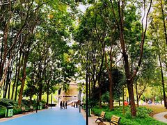 -苏州河梦清园环保主题公园