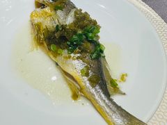 -骏莱海鲜鱼港(五角场店)