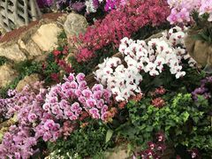 -南通洲际绿博园