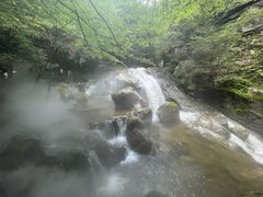 -牛背梁国家森林公园