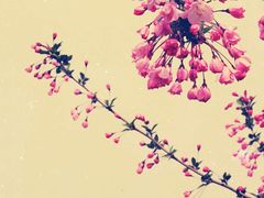 -南京信息职业技术学院