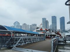 -黄浦江游览快线(金陵东路码头)