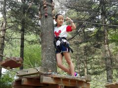 -洛阳白云山景区