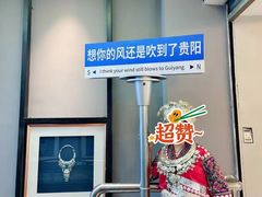 -老凯俚酸汤鱼(鸿通城店)