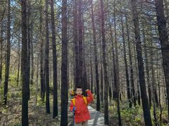 -白草畔自然风景区