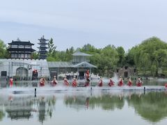 -曹州牡丹园