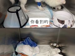 -东莞宠友24H宠物中心医院·转诊夜诊·异宠(新河北路院)