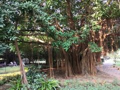 -北海市海滨公园