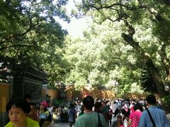 -普陀山风景名胜区-法雨禅寺