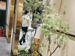 -刘胖子家常菜·蹄花焖藕(中南店)