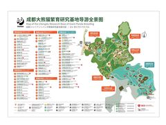 -成都大熊猫繁育研究基地