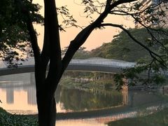 -怡海公园(桂城街道)