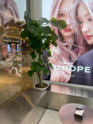 -DL HOPE造型