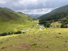 -大姆山草场