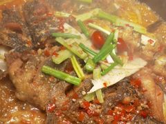 -老板恋上鱼(恒隆广场店)