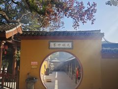 -上海东林寺(金山区)