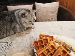 松饼-隅cafe(傅厚岗店)